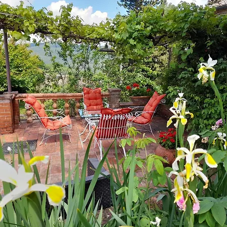 Casa Di Leo With Pool Holiday home Radicondoli